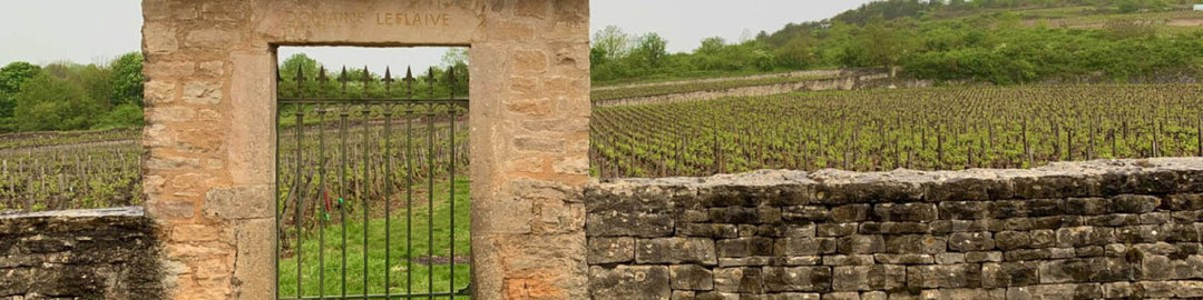 Bâtard-Montrachet - Onshore Cellars