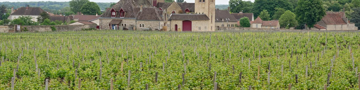 Bordeaux Blanc