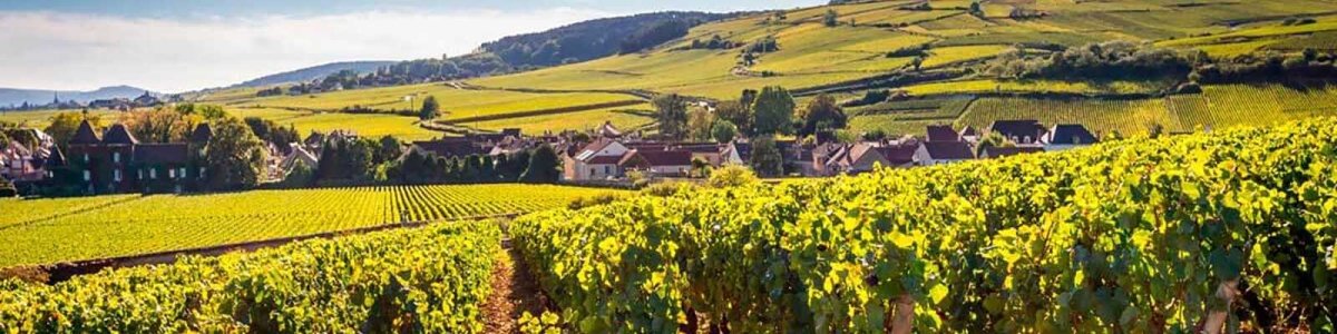 Bourgogne - Onshore Cellars
