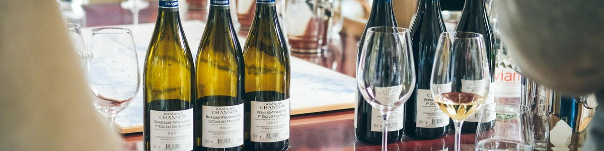 Cantina Zaccagnini