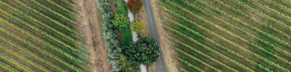 Hawkes Bay - Red wine