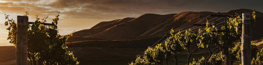 Hawkes Bay