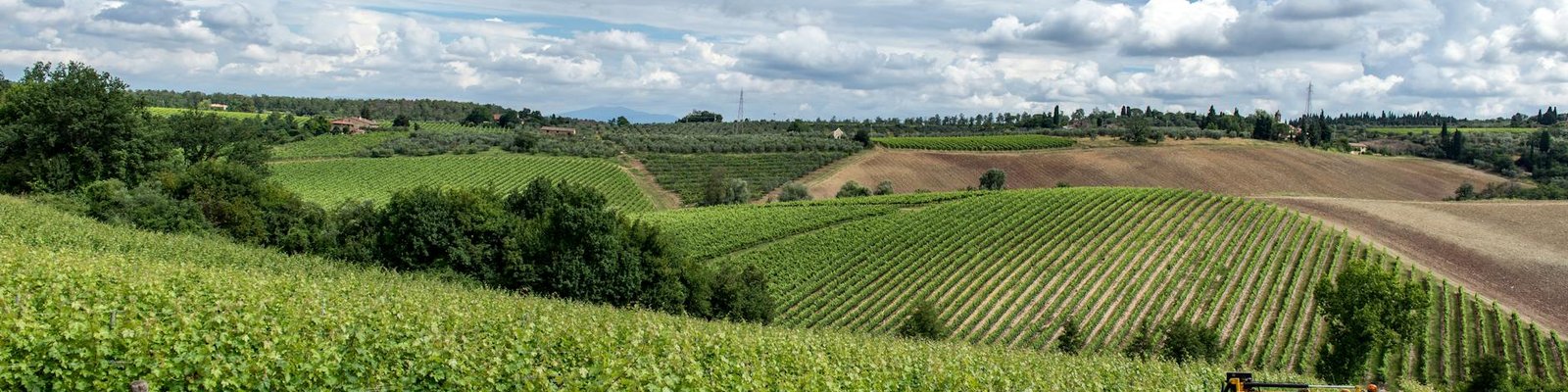Italy - Red wines