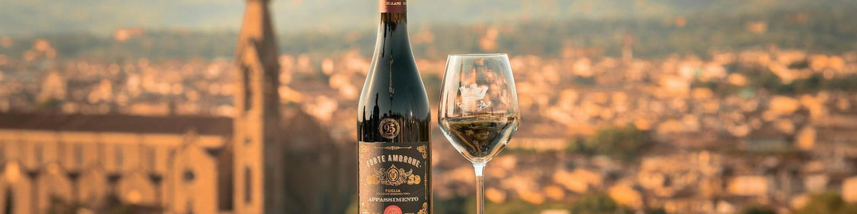 Italy Wine