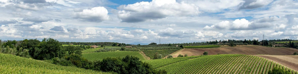 Lombardy - White wine