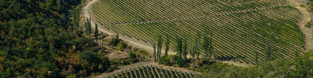 Maipo Valley