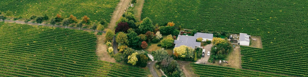 Marlborough - White wine