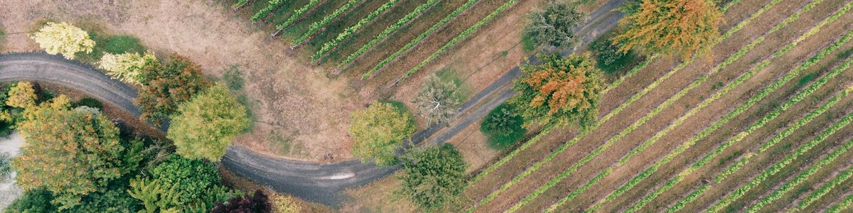 Martinborough - Red wine