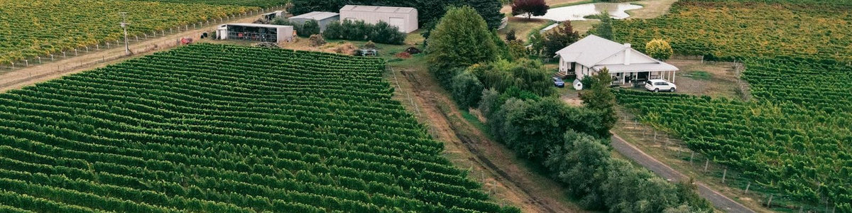 Martinborough - White wine