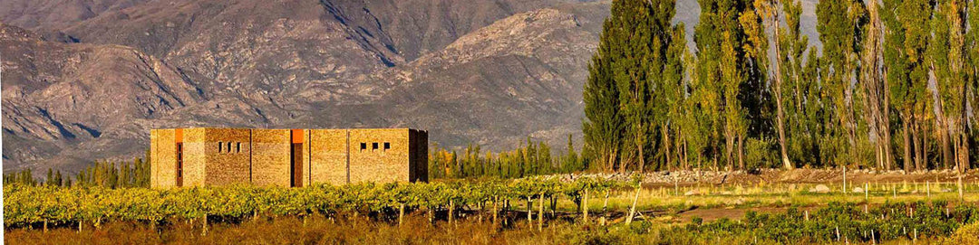 Domaine Nico