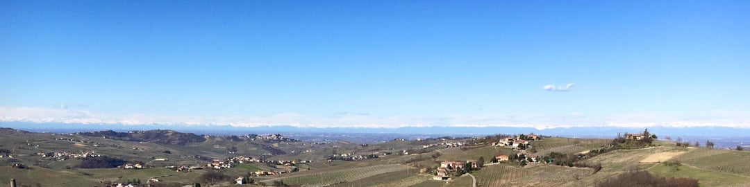 Belvedere