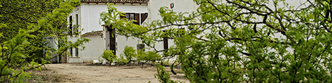 Bodegas Tinedo
