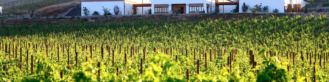 Bodegas Vetus