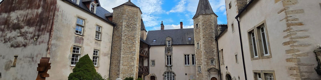 Château de Melin