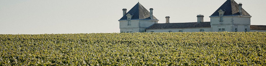 Château De Pez
