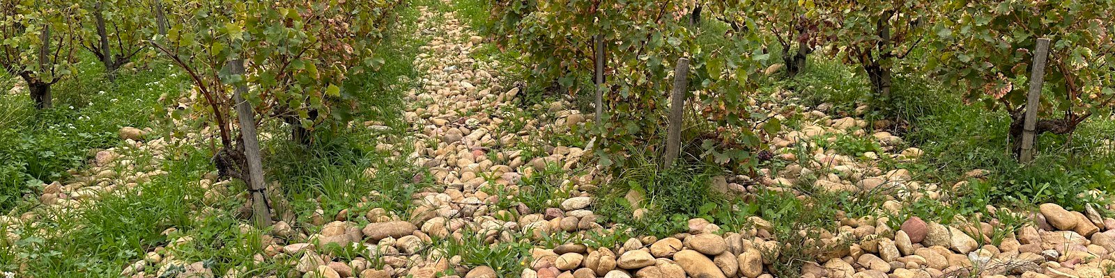 Clos Des Papes