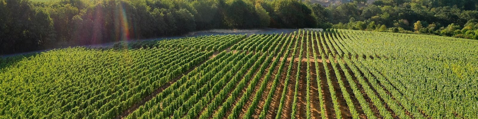 Cristom Vinyards