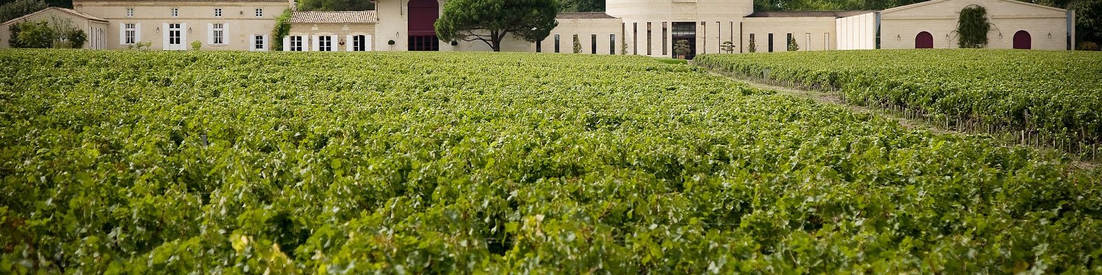 Domaine De Chevalier