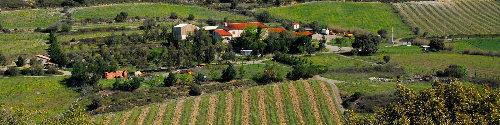 Domaine Gauby