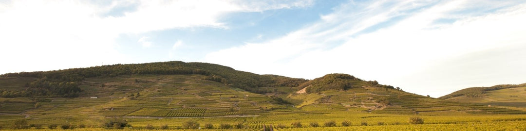 Domaine Weinbach