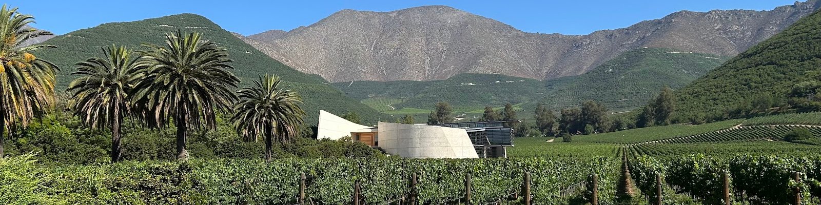 Errazuriz