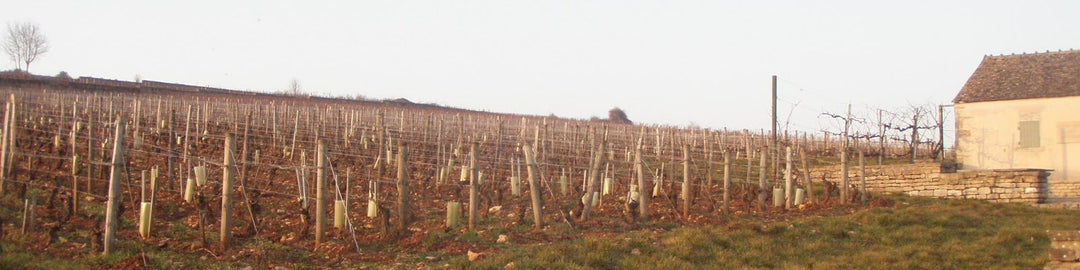 Joseph Drouhin