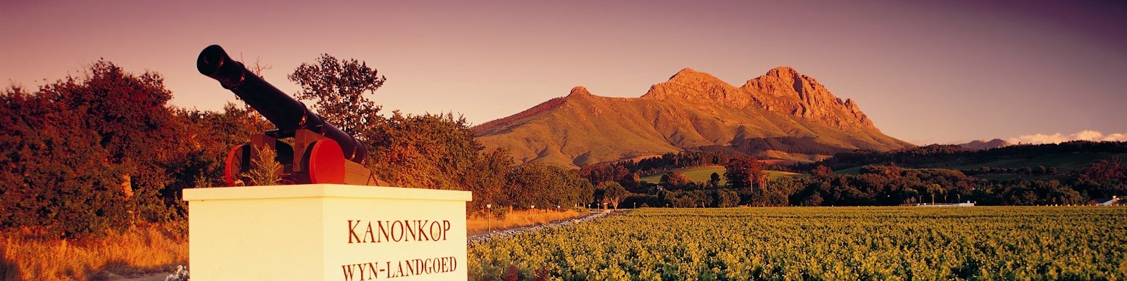 Kanonkop