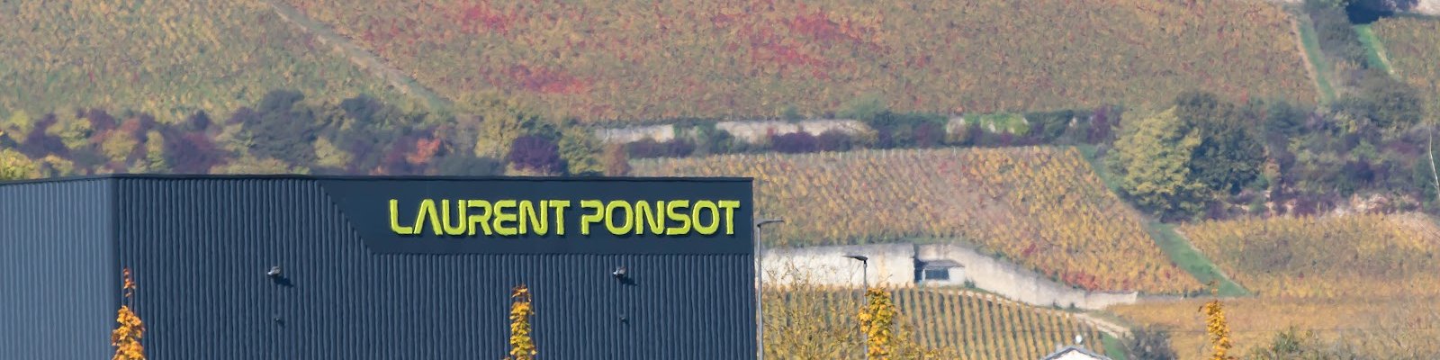 Laurent Ponsot
