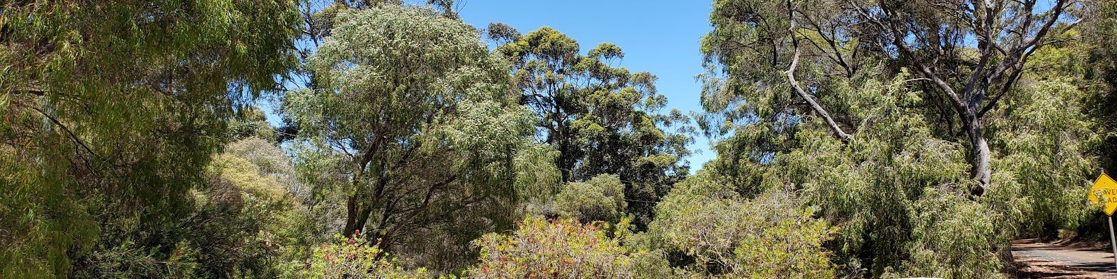 Leeuwin Estate