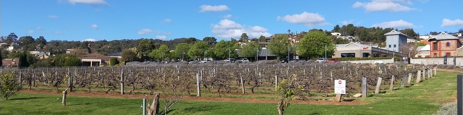 Penfolds