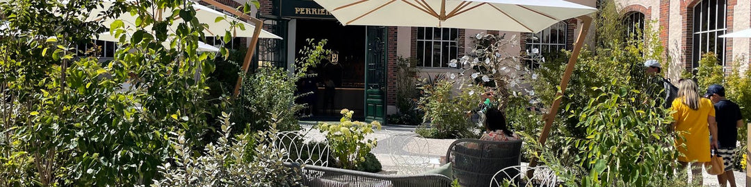 Perrier-Jouët