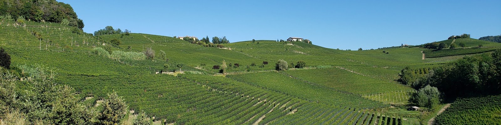 Prunotto
