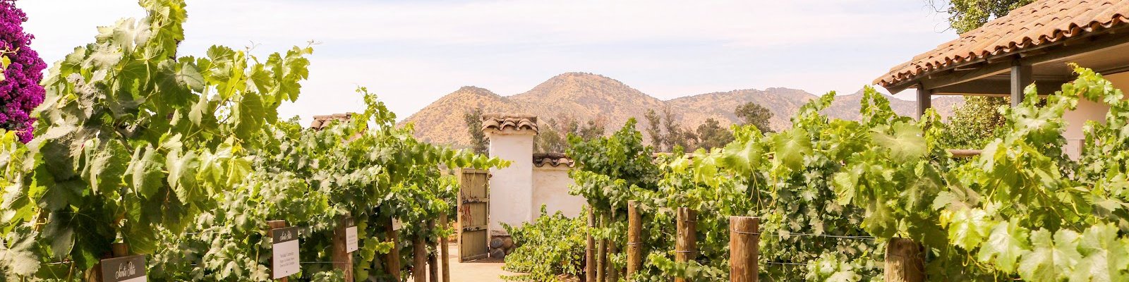 Santa Rita