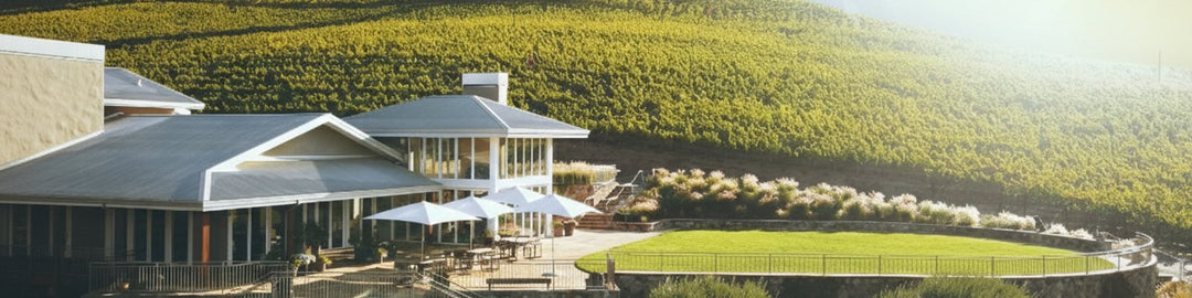 Shafer Vineyard