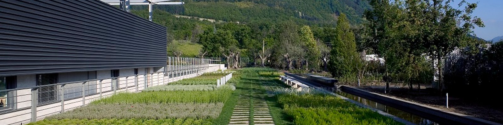 Tenuta Capaldo