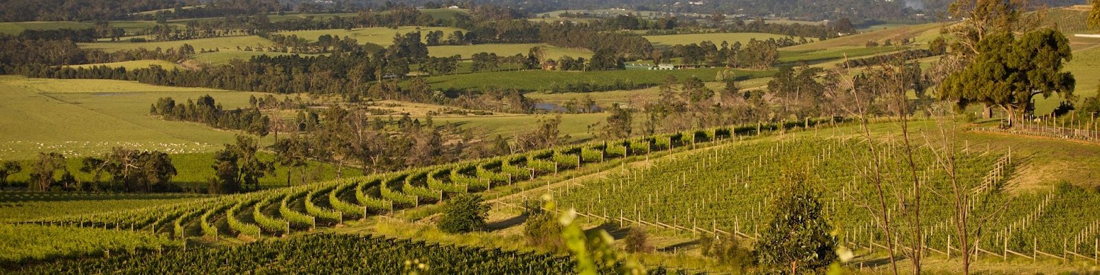 Yarra Yering
