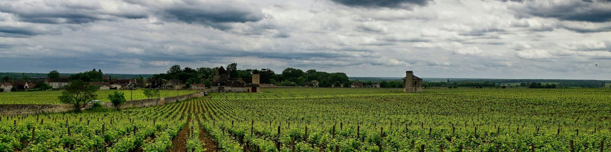 Beaujolais