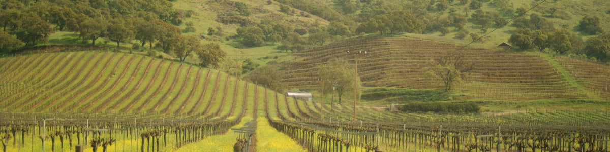 Bessa Valley