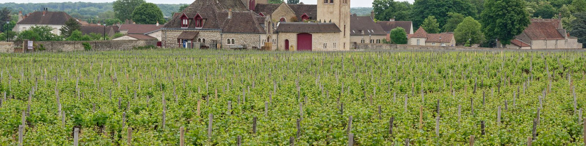 Chablis