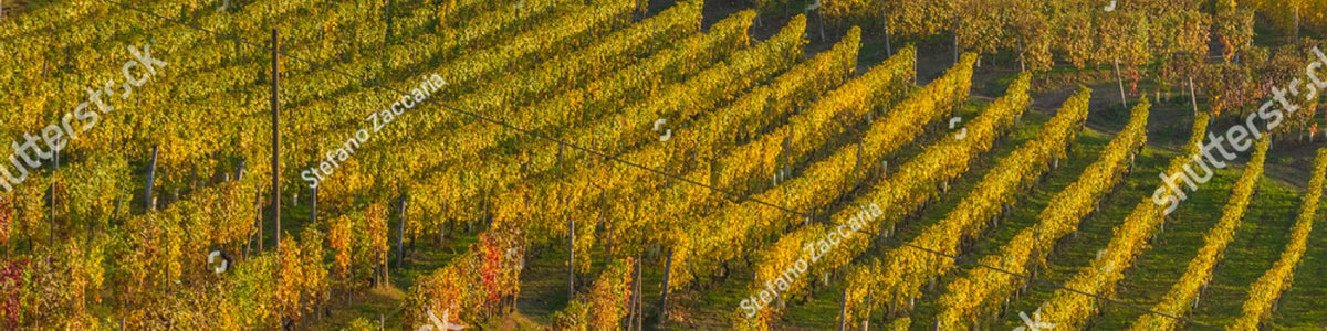 Franschhoek