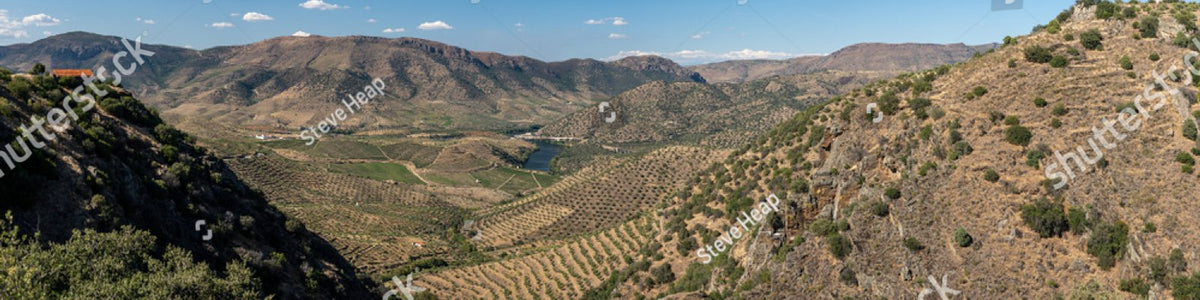 Swartland