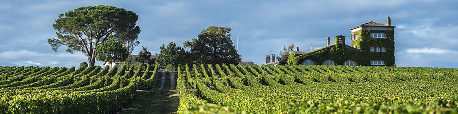 Chateau Rieussec
