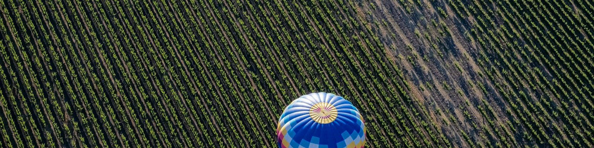 Willamette Valley - Red wine