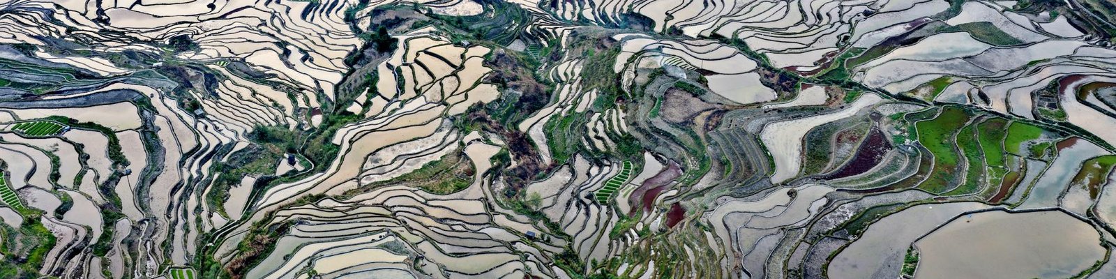 Yunnan