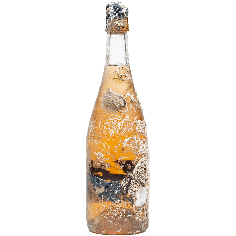 The Sea Wine Club - CV02 - Cava Rosé - Underwater Maturation