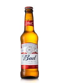 Bud - Verre - 24 x 33cl