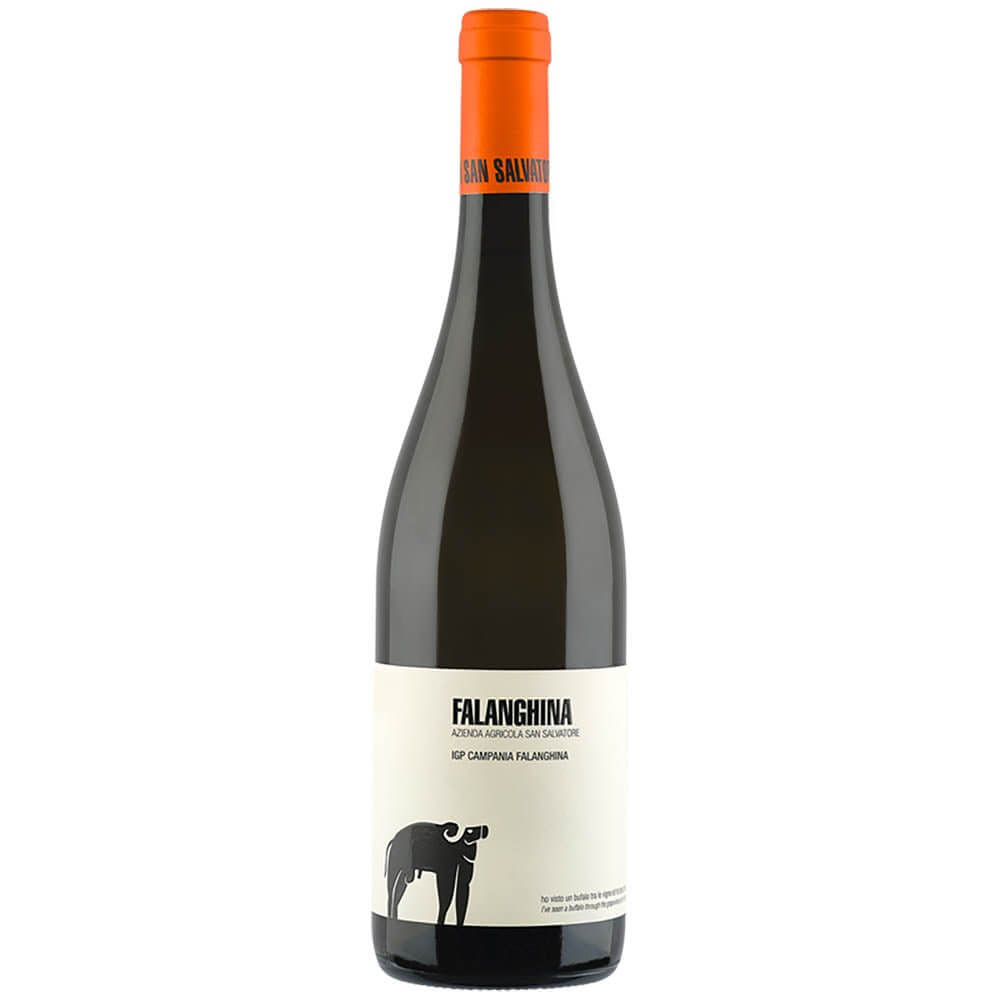 Azienda Agricola San Salvatore - Falanghina - 2019 - 75cl - Onshore Cellars