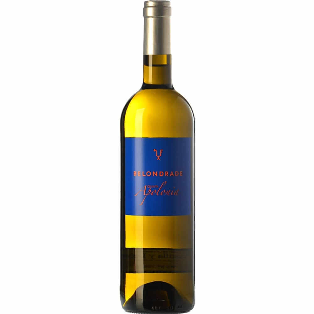 Bodega Belondrade - Quinta Apolonia - Verdejo - 2021 - 75cl - Onshore Cellars